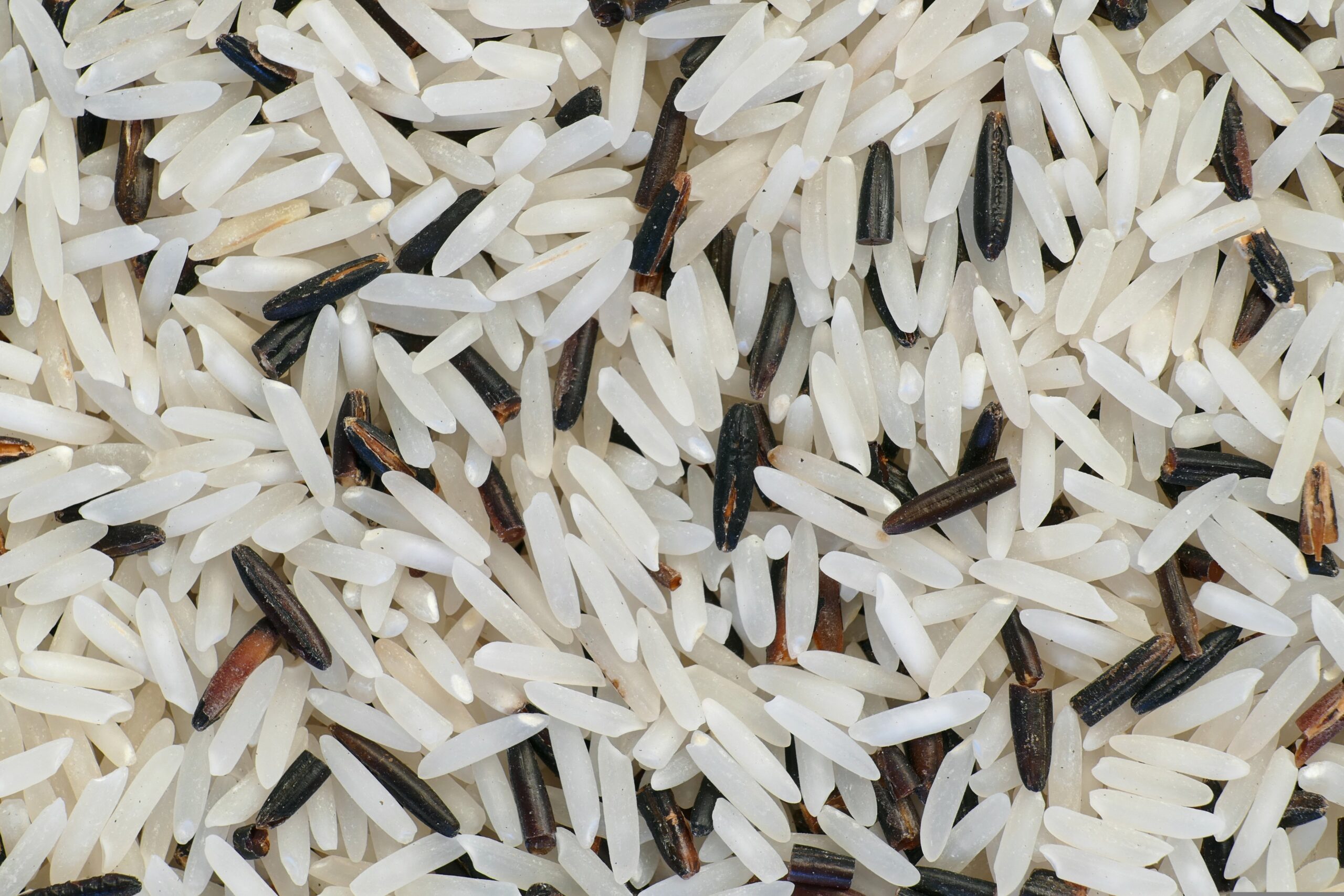 Products rice 5236375